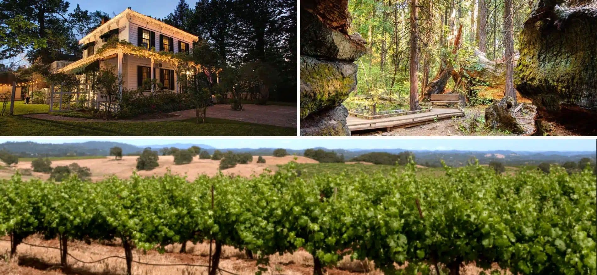 3 images in one displaying a large two-story house, a picture taken of the forest from between two stone pillars and a row of trees held together by a rope. 3 images in one displaying a large two-story house, a picture taken of the forest from between two stone pillars and a row of trees held together by a rope.